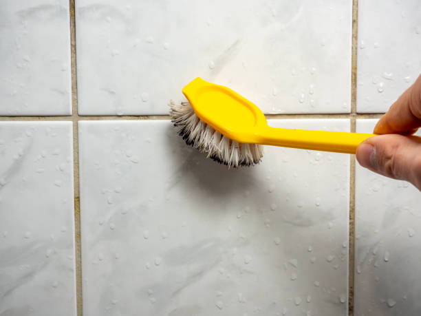 Best Black Mold Removal  in Fort Rucker, AL