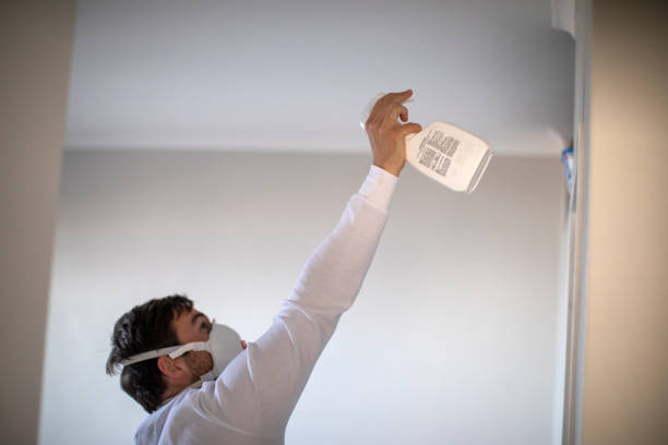 Best Water Damage Restoration  in Fort Rucker, AL