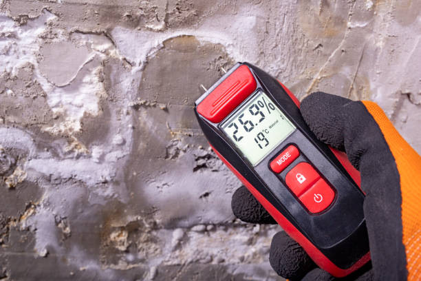 Best Emergency Mold Removal  in Fort Rucker, AL