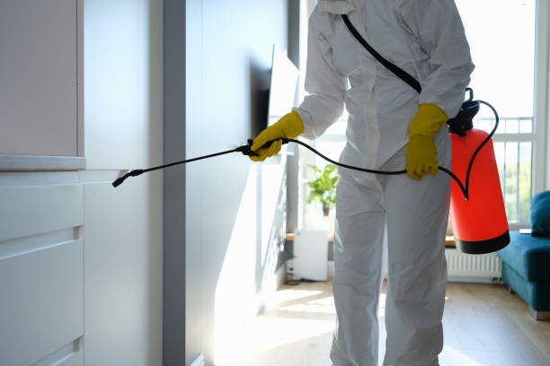 Best Same-Day Mold Removal  in Fort Rucker, AL